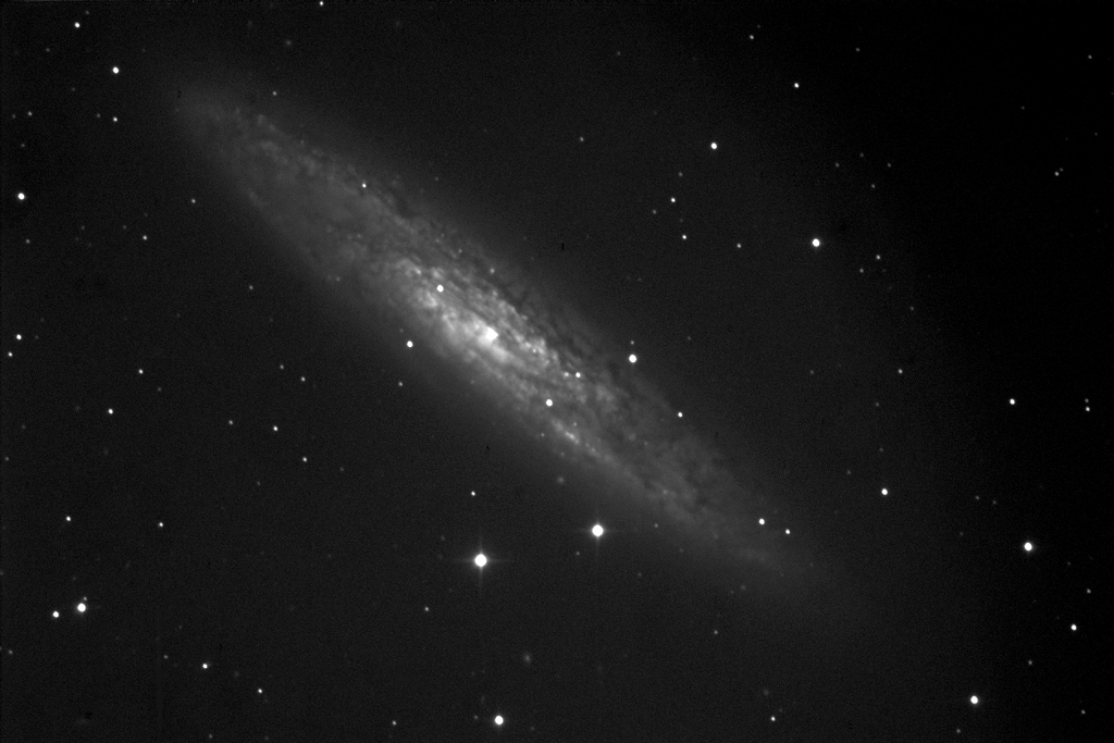 Immagine:Ngc253_201711102333180sec2x2_L1234_median_1024px.jpg