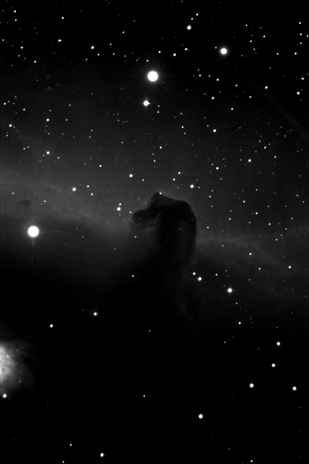 Immagine:IC434-001Ic434L_elab.jpg