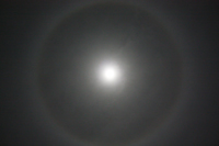 Immagine:IMG 8635 19 11 2010 elab luna small.jpg