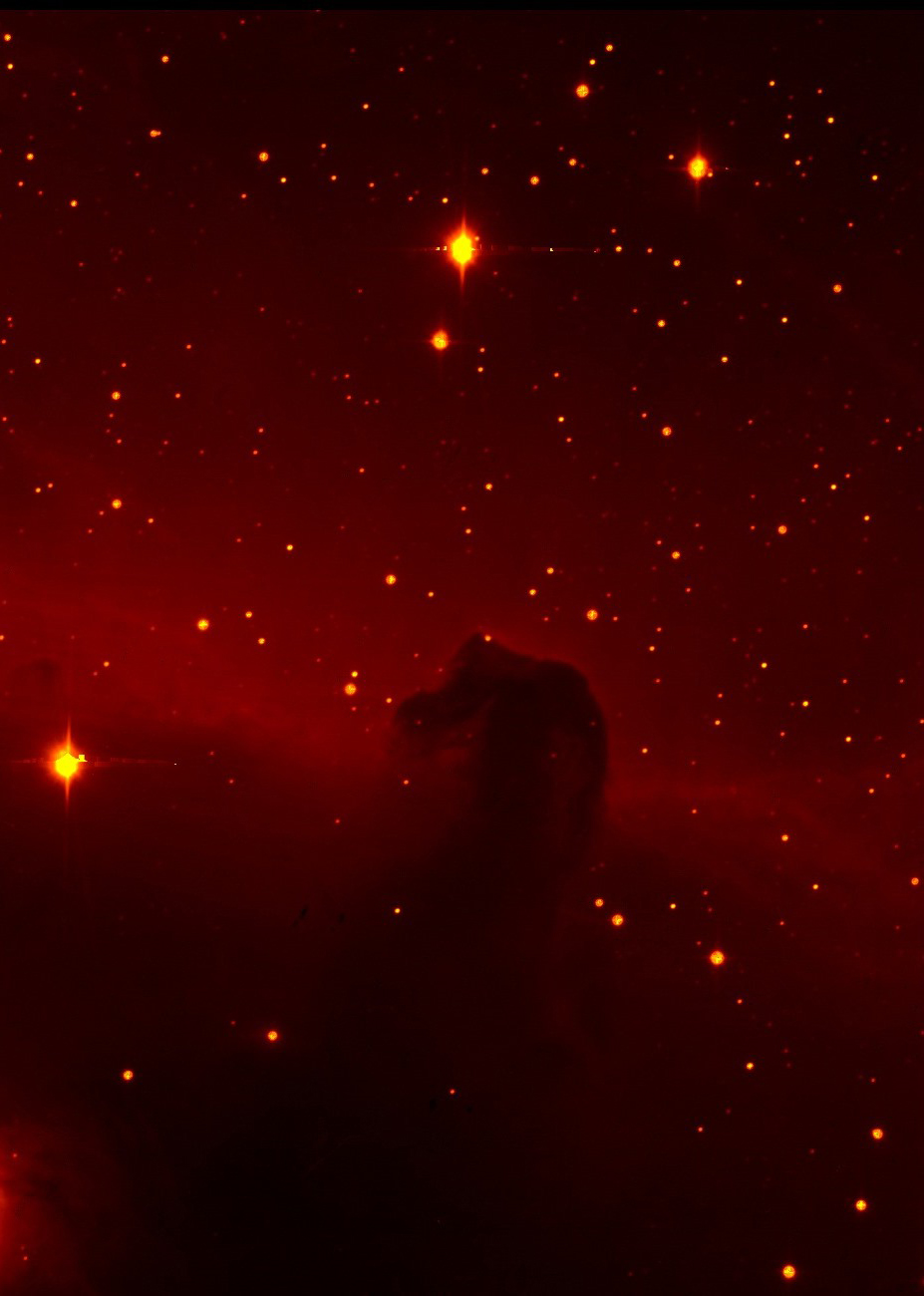 Immagine:Horsehead_IC434_20170119-2x2-LRGB_elab2a.jpg