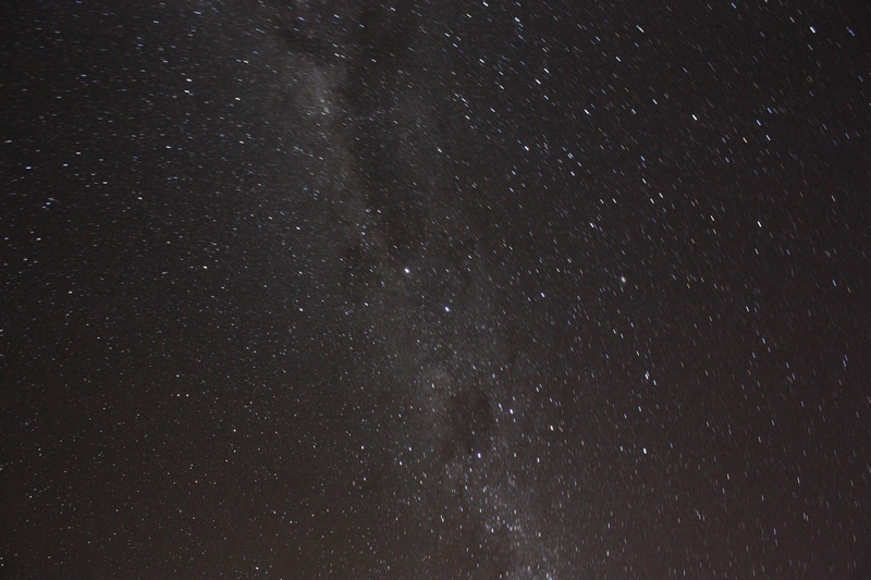 Immagine:Rapanui IMG 7544 12 07 2010.jpg