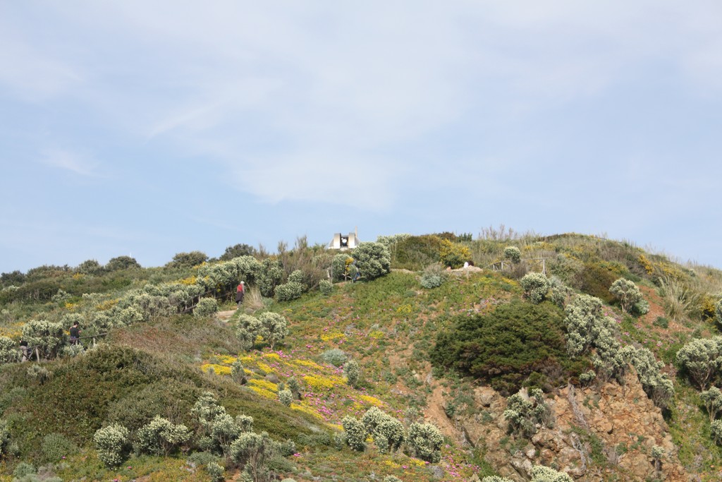 Immagine:Punta_falcone_18-4-15_00061.jpg