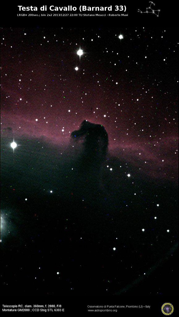 Immagine:Testa_di_cavallo_27_12_2013_rid.jpg