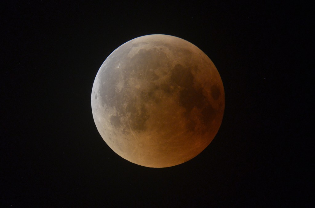 Immagine:2018_07_27_Luna_Rossa_Masi_018.jpg