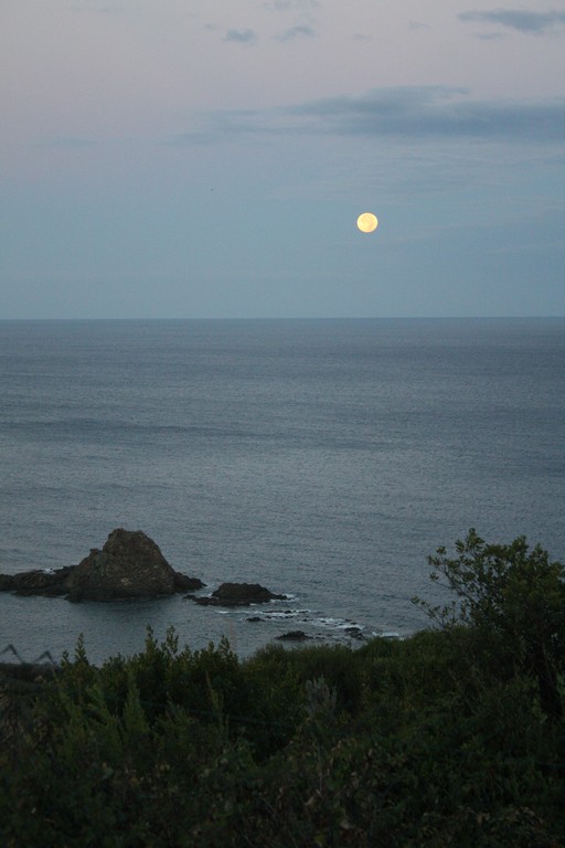 Immagine:2015_09_18_eclissi_luna_00229.jpg