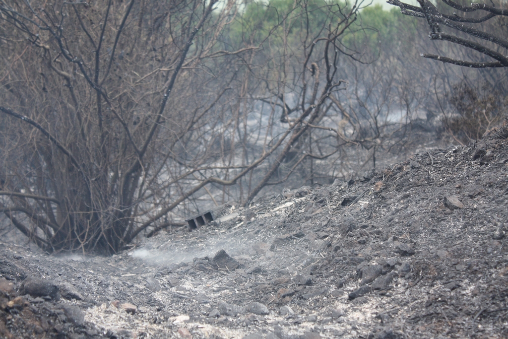 Immagine:Incendio_17-12-2011-00021.jpg