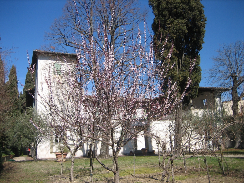 Immagine:CAAT_Arcetri_11-03-12_-_00053.jpg