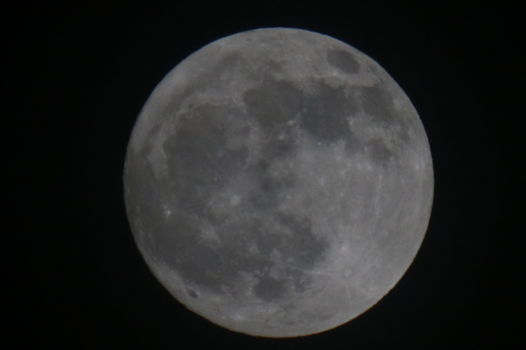 Immagine:2019_12_11_Luna_053_crop.jpg