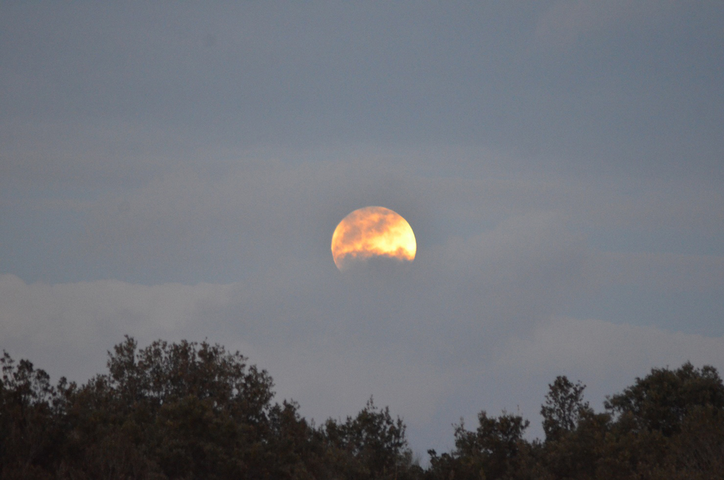 Immagine:Luna_sorgente.jpg