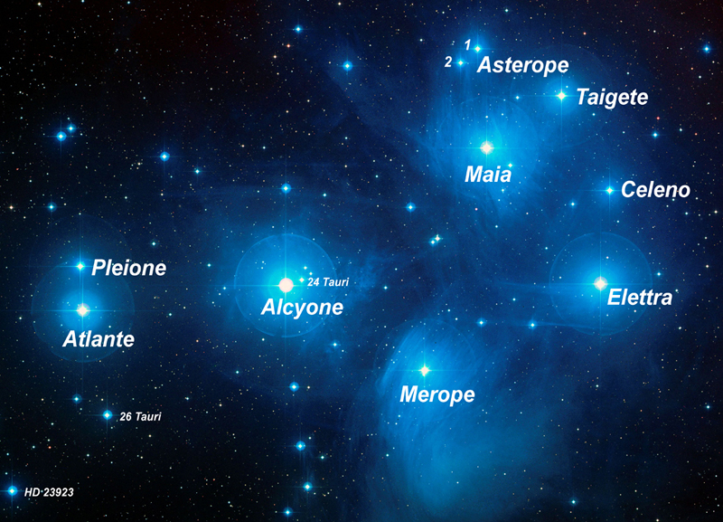 Immagine:Pleiadi.jpg