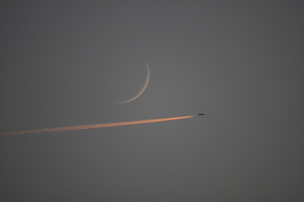 Immagine:2019_12_28_Luna_Venere_040.JPG
