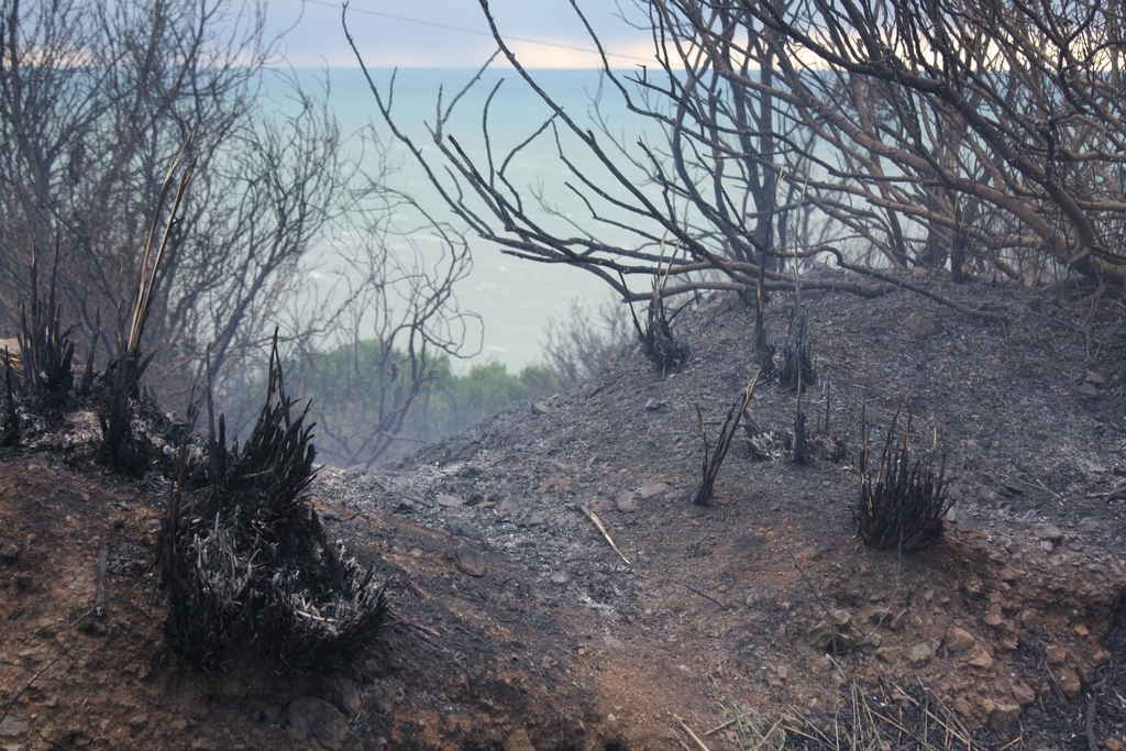 Immagine:Incendio_17-12-2011-00028.jpg
