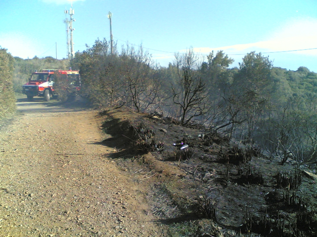 Immagine:Incendio_-00002.jpg