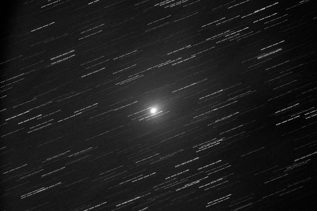 Immagine:C2018Y1_Iwamoto-001-30_D_crop.jpg