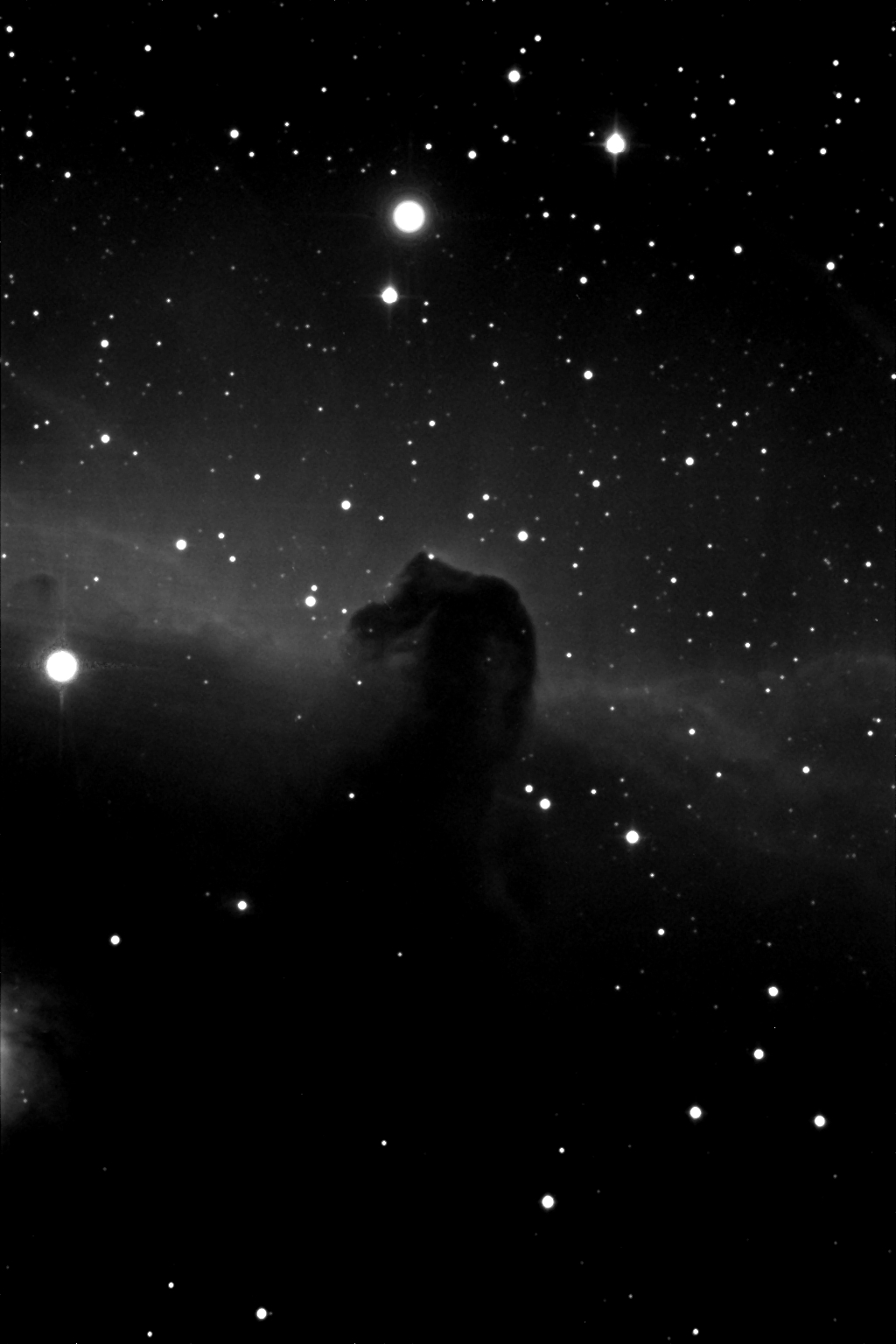 Immagine:IC434_201701192240900sec2x2L1_elab.jpg